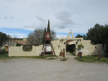 IMG 6950