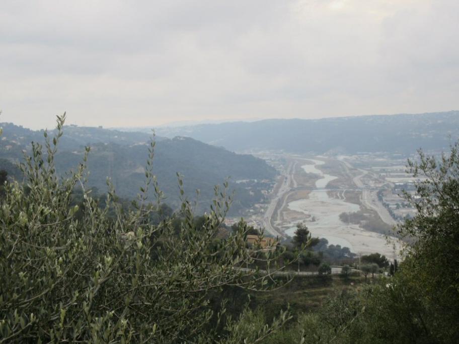 IMG 0658