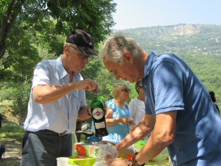 IMG 4437