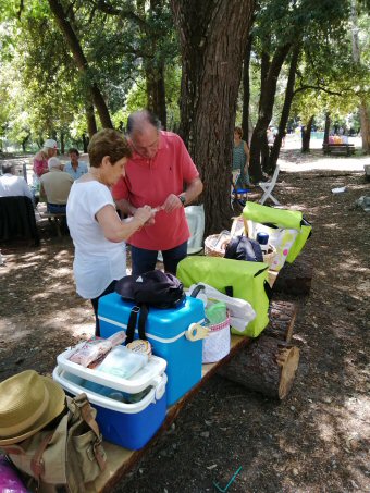 IMG 20190623 124245